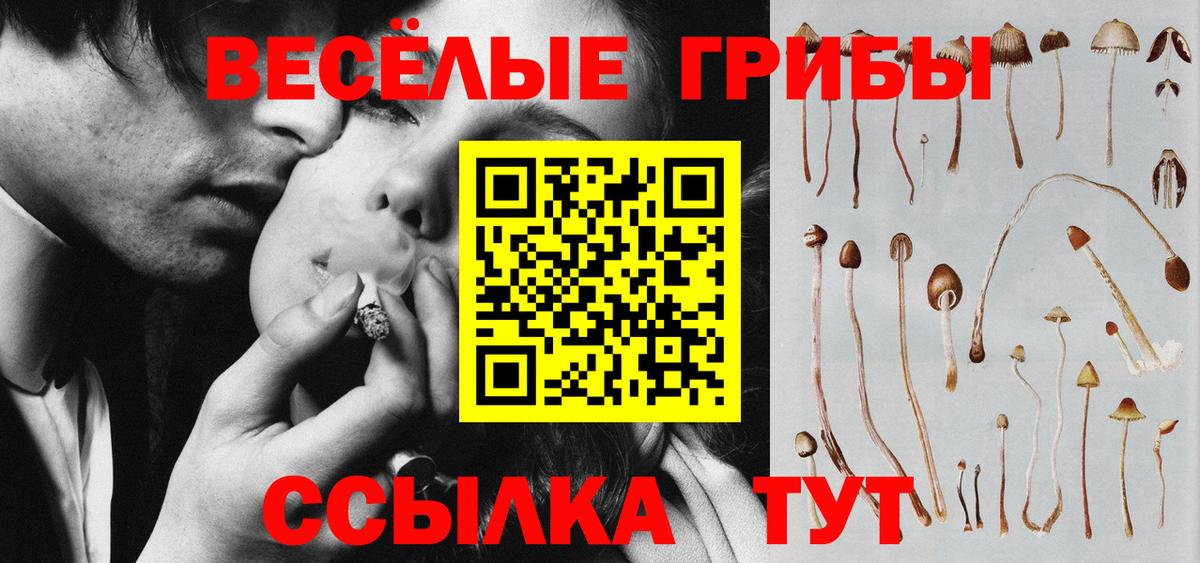 Галлюциногенные грибы Psilocybine cubensis Россошь