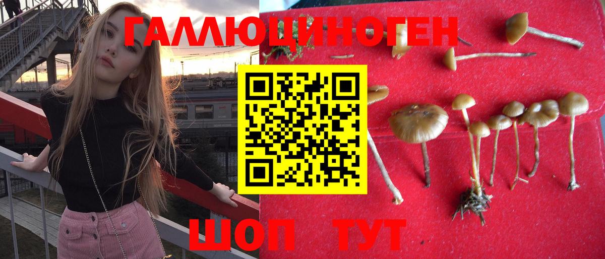Галлюциногенные грибы GOLDEN TEACHER  Галлюциногенные грибы ЛСД  Вход с VPN  Россошь 